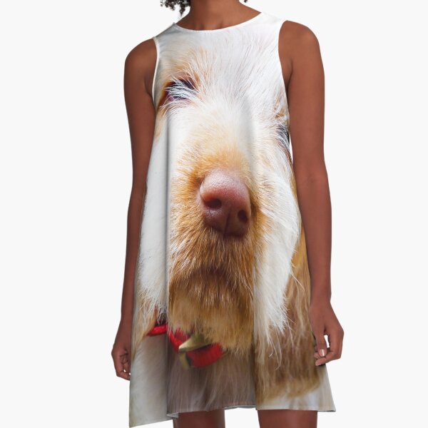 Lifetime of love Spinone puppy A-Line Dress