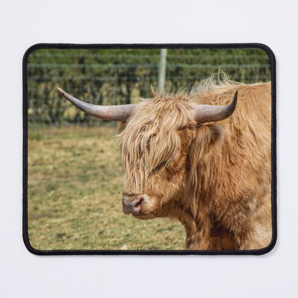 Item preview, Pride of the Pasture  designed and sold by Memories by Jess.