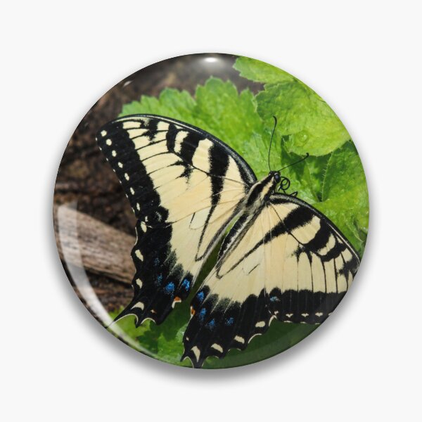 Item preview, Swallowtail butterfly on dew covered leaves designed and sold by Astute-Artio-Photography.