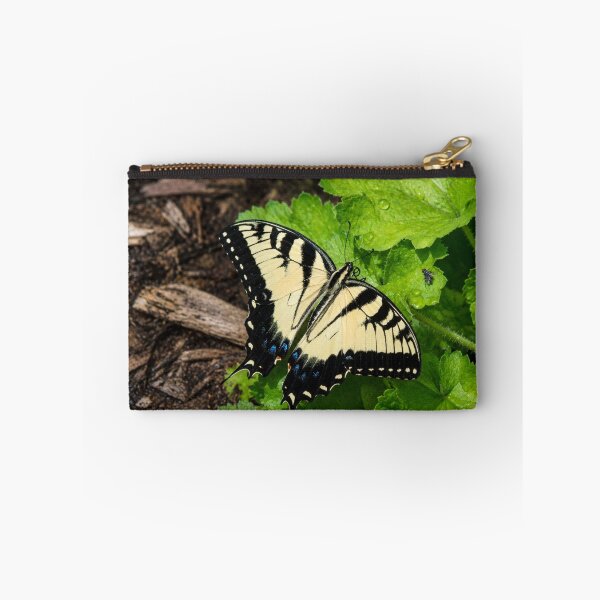 Item preview, Swallowtail butterfly on dew covered leaves designed and sold by Astute-Artio-Photography.
