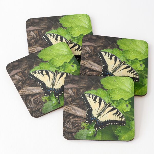 Item preview, Swallowtail butterfly on dew covered leaves designed and sold by Astute-Artio-Photography.