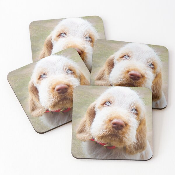 Item preview, Lifetime of love Spinone puppy by heidiannemorris designed and sold by FOLK ART FUSION by heidiannemorris.
