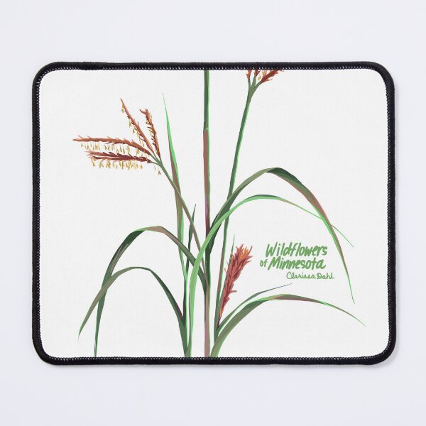 Item preview, big bluestem (Andropogod gerardii) sticker designed and sold by clarissamoo.