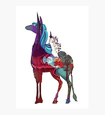 The Last Unicorn Photographic Print