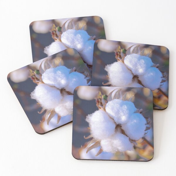 Item preview, Cotton Blossom in Bloom designed and sold by SiliconValleyUS.