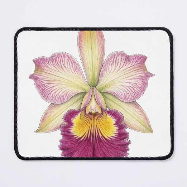 Item preview, Exotic Pink Cattleya Orchid Botanical designed and sold by GanethViolette0.