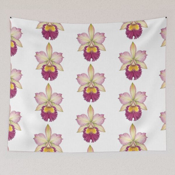 Item preview, Exotic Pink Cattleya Orchid Botanical designed and sold by GanethViolette0.