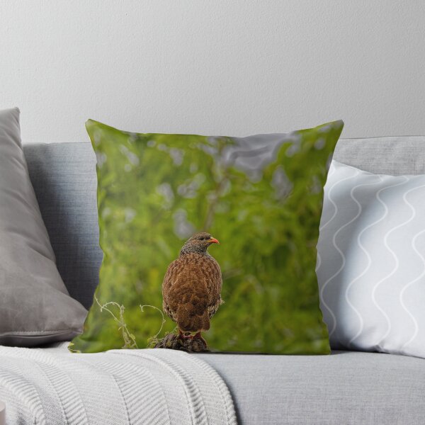 Item preview, A Natal Spurfowl in Makuleke, South Africa designed and sold by TomRomanPhotos.