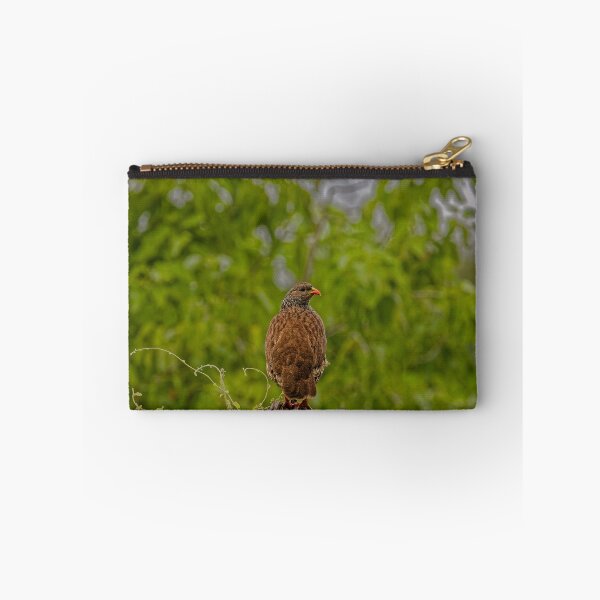 Item preview, A Natal Spurfowl in Makuleke, South Africa designed and sold by TomRomanPhotos.