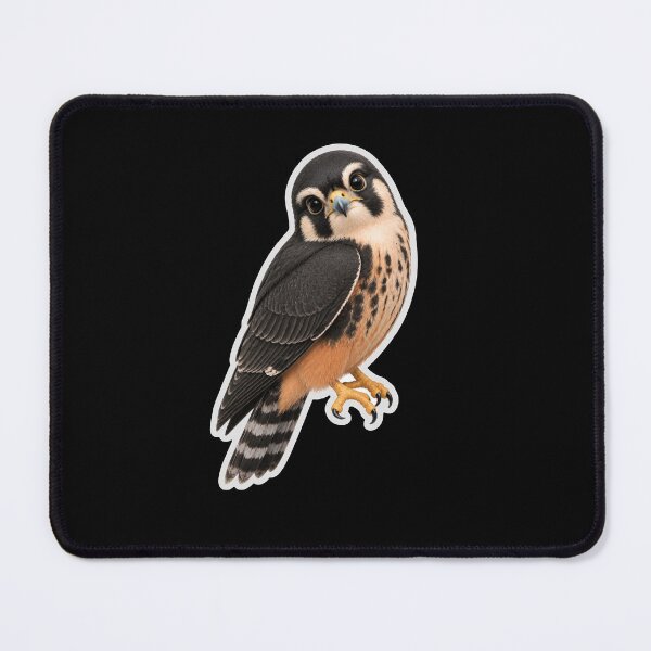 Item preview, Aplomado/Falco femoralis designed and sold by Konvero.