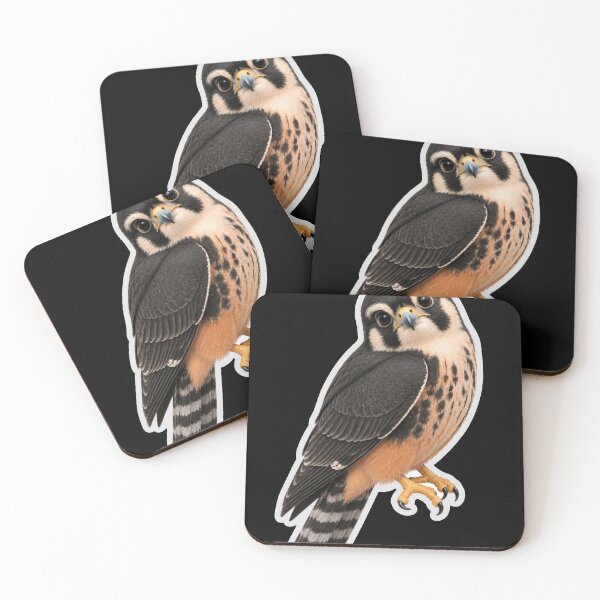 Item preview, Aplomado/Falco femoralis  designed and sold by Konvero.