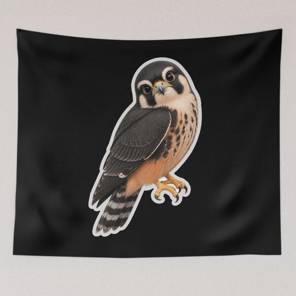 Item preview, Aplomado/Falco femoralis  designed and sold by Konvero.