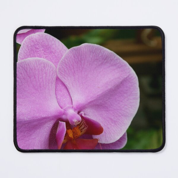 Item preview, Pink Orchid designed and sold by TheOldestTrees.
