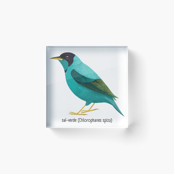 Item preview, passaro, designed and sold by Edu-Mendonca.