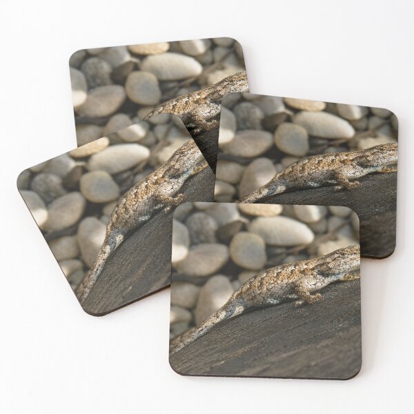 Item preview, Fence lizard basking on weathered wood designed and sold by Astute-Artio-Photography.