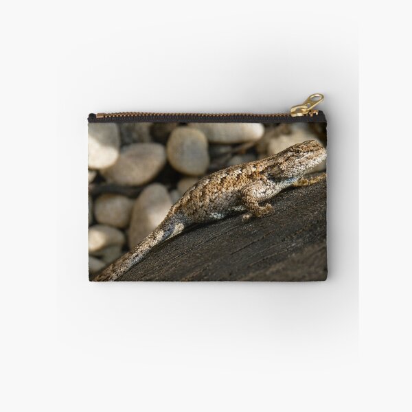 Item preview, Fence lizard basking on weathered wood designed and sold by Astute-Artio-Photography.