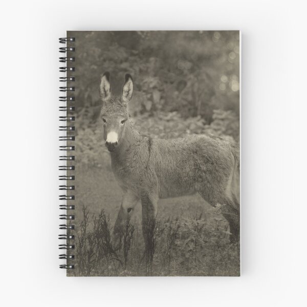 Item preview, August Baby Donkey designed and sold by Kristi Johnson.