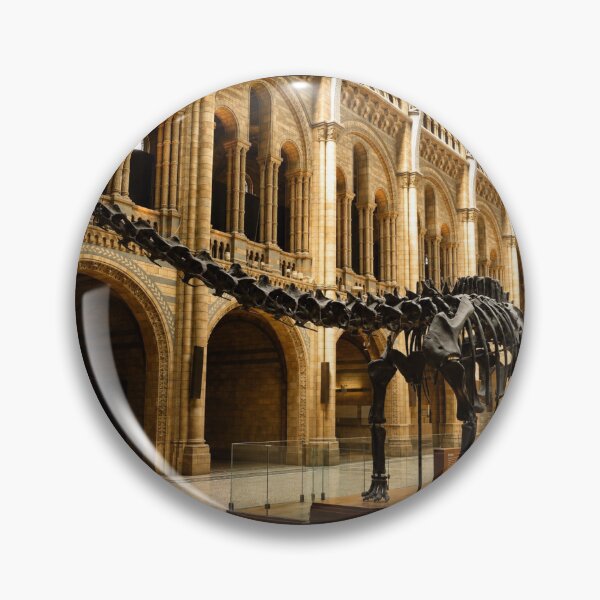 Item preview, Dippy the Diplodocus designed and sold by Astute-Artio-Photography.