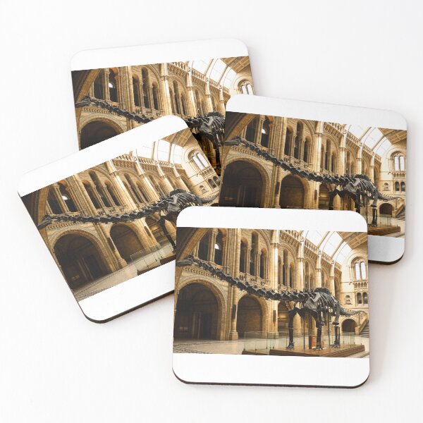 Item preview, Dippy the Diplodocus designed and sold by Astute-Artio-Photography.