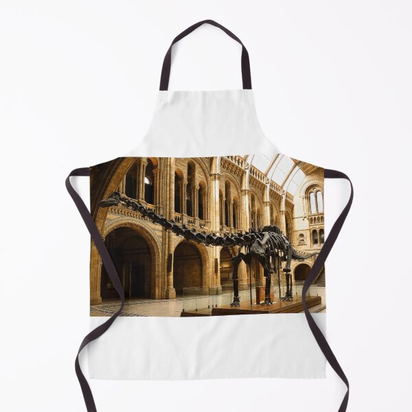 Item preview, Dippy the Diplodocus designed and sold by Astute-Artio-Photography.