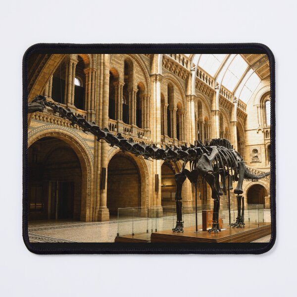 Item preview, Dippy the Diplodocus designed and sold by Astute-Artio-Photography.