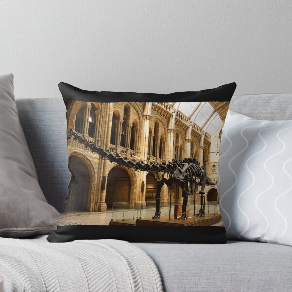 Item preview, Dippy the Diplodocus designed and sold by Astute-Artio-Photography.