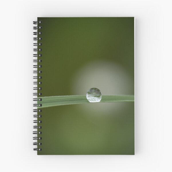 Item preview, A singe drop of dew on a blade of grass. designed and sold by South 500 Photography.