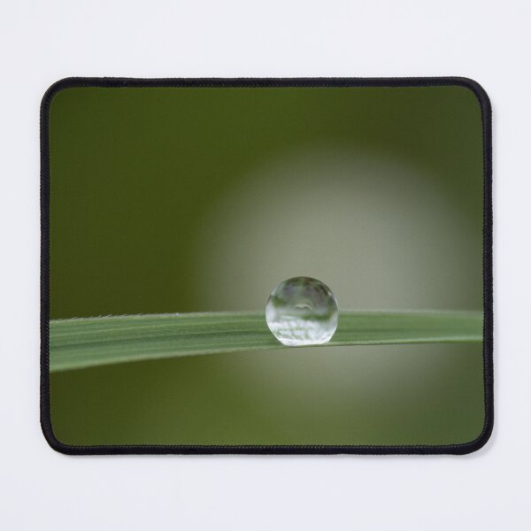 Item preview, A singe drop of dew on a blade of grass. designed and sold by South 500 Photography.