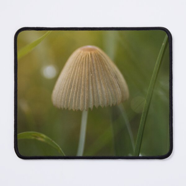Item preview, The Magic of a Tiny Mushroom designed and sold by South 500 Photography.