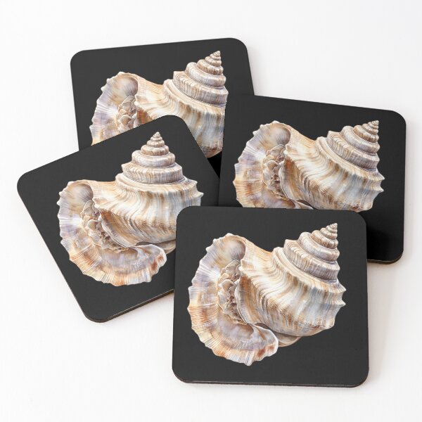 Item preview, Detailed Conch Shell Study designed and sold by virdeiz.
