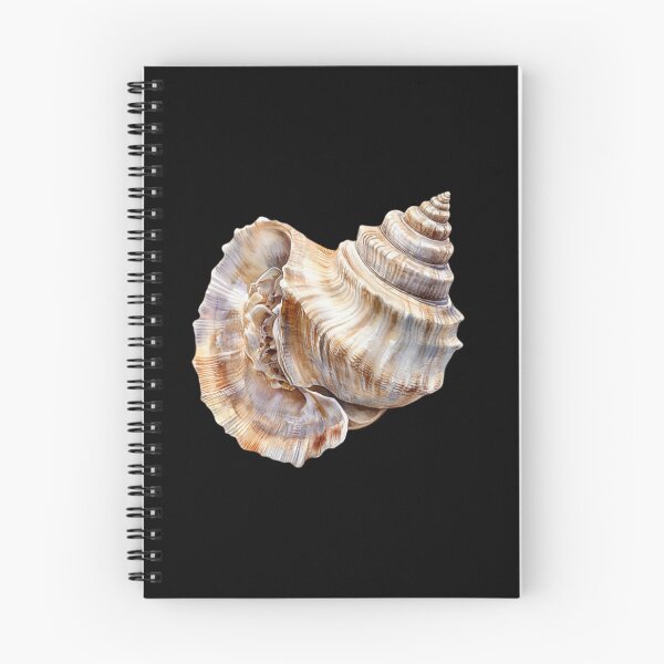 Item preview, Detailed Conch Shell Study designed and sold by virdeiz.