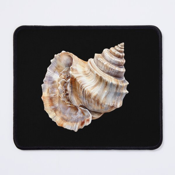 Item preview, Detailed Conch Shell Study designed and sold by virdeiz.