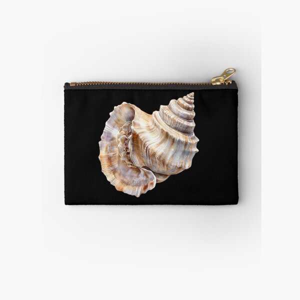 Item preview, Detailed Conch Shell Study designed and sold by virdeiz.