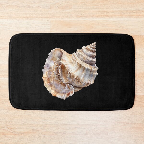 Item preview, Detailed Conch Shell Study designed and sold by virdeiz.