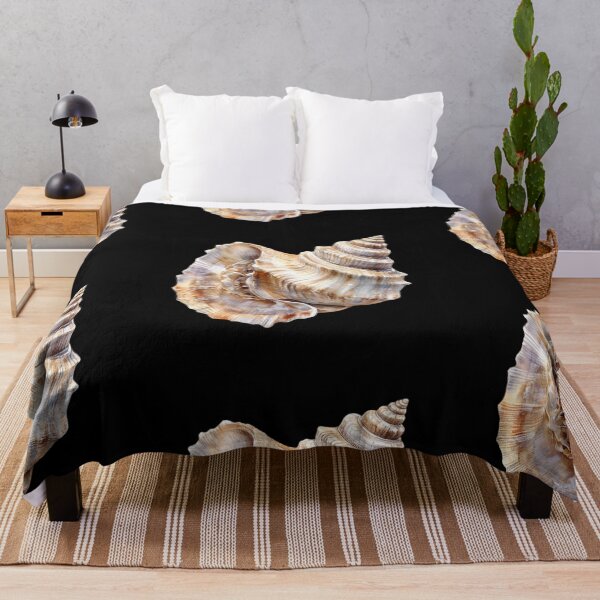 Item preview, Detailed Conch Shell Study designed and sold by virdeiz.