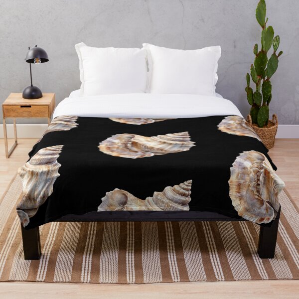 Item preview, Detailed Conch Shell Study designed and sold by virdeiz.