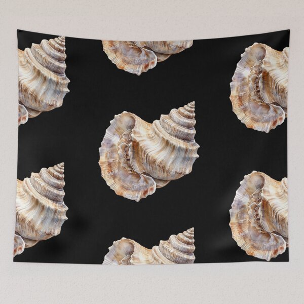 Item preview, Detailed Conch Shell Study designed and sold by virdeiz.