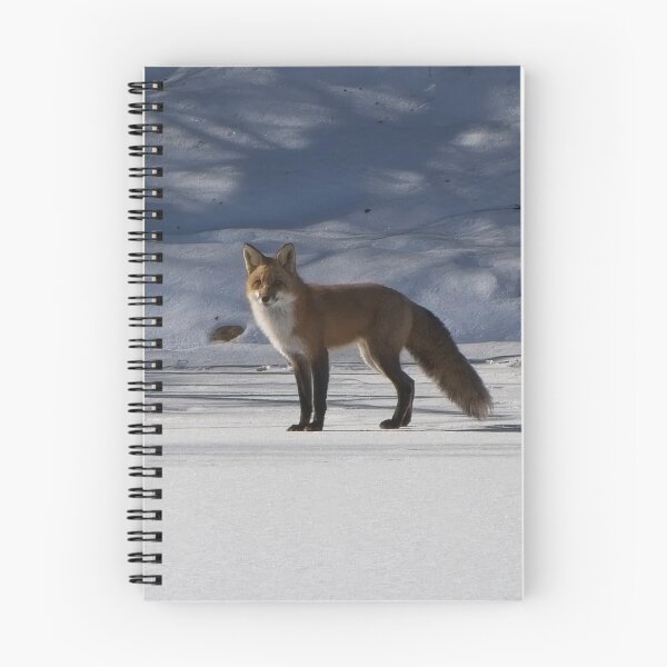 Item preview, Curios adult fox standing on the river bank snow. designed and sold by South 500 Photography.