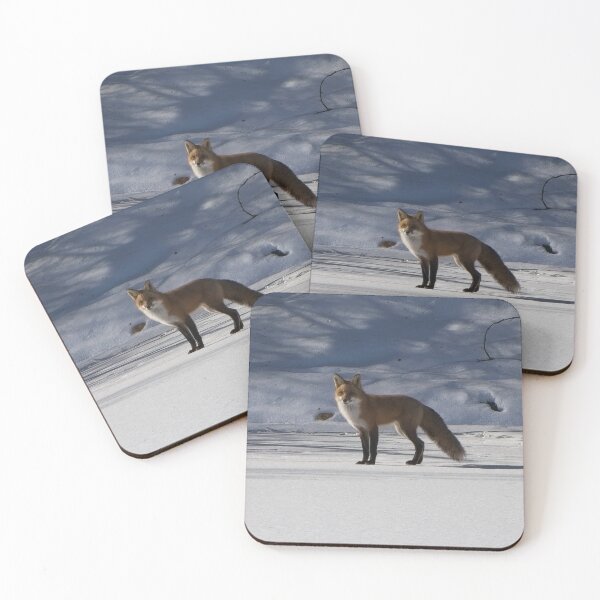 Item preview, Curios adult fox standing on the river bank snow. designed and sold by South 500 Photography.