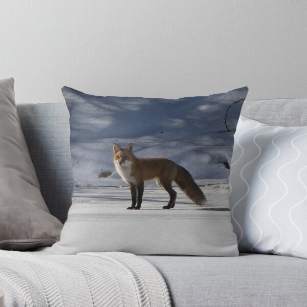 Item preview, Curios adult fox standing on the river bank snow. designed and sold by South 500 Photography.