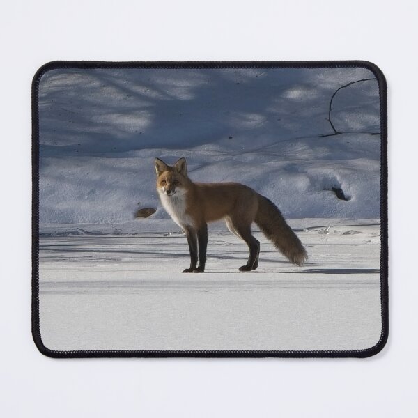 Item preview, Curios adult fox standing on the river bank snow. designed and sold by South 500 Photography.