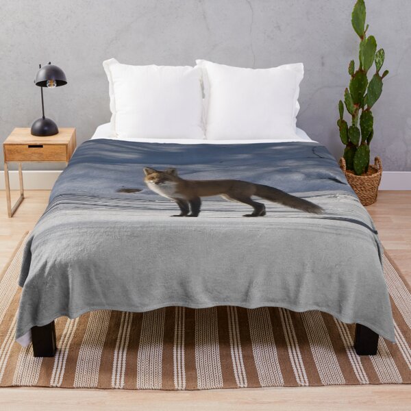 Item preview, Curios adult fox standing on the river bank snow. designed and sold by South 500 Photography.