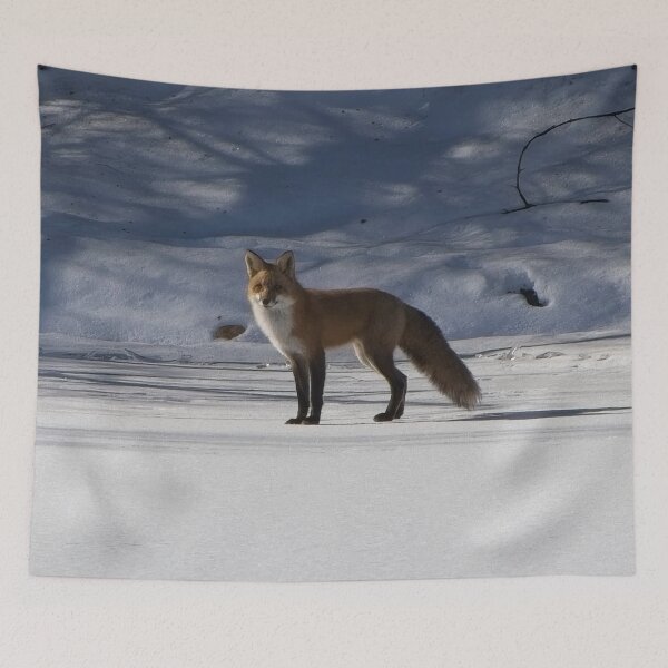 Item preview, Curios adult fox standing on the river bank snow. designed and sold by South 500 Photography.