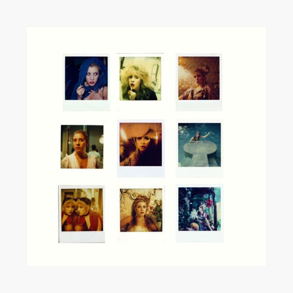 Stevie Polaroids Art Print