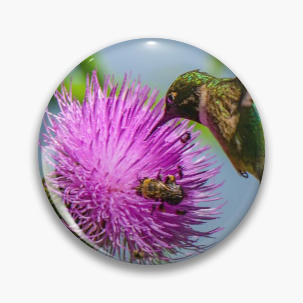Item preview, A hummingbird and bee share a purple thistle flower. designed and sold by South 500 Photography.