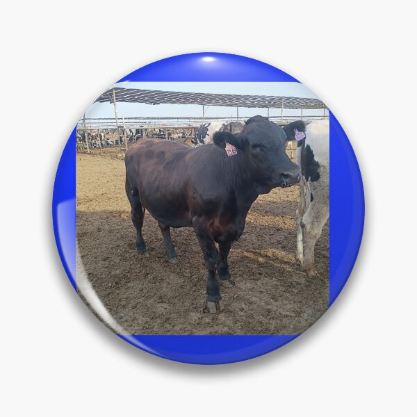 Item preview, cattle designed and sold by pksart1.