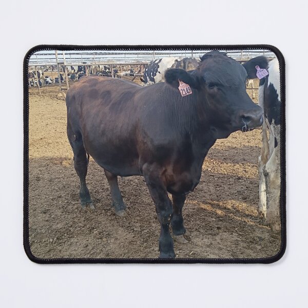 Item preview, cattle designed and sold by pksart1.