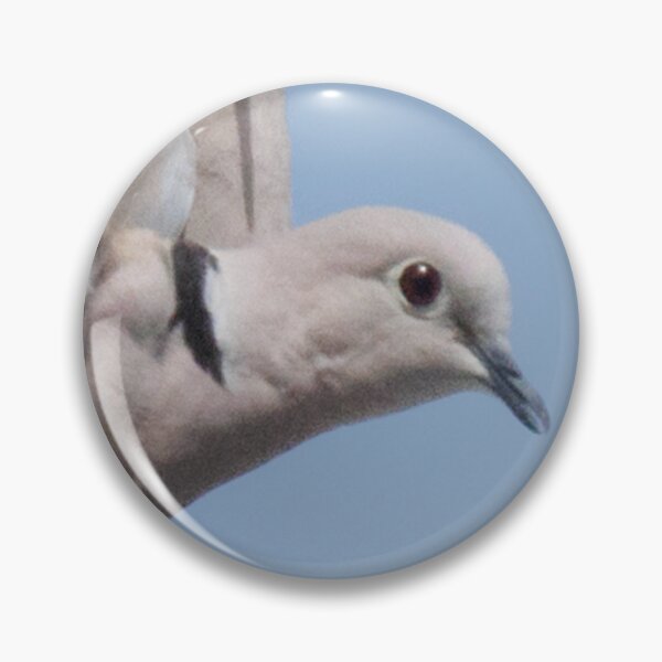Item preview, Mourning Dove in Flight designed and sold by WilesNailsPower.