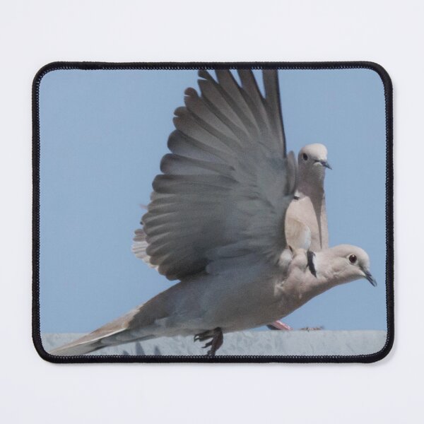 Item preview, Mourning Dove in Flight designed and sold by WilesNailsPower.