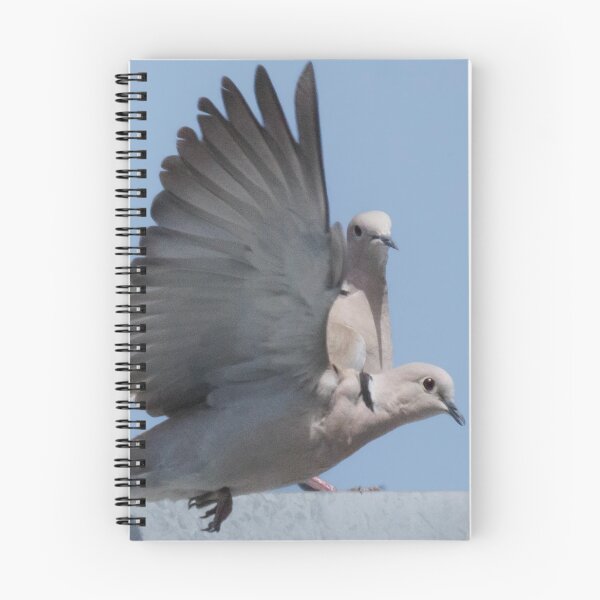 Item preview, Mourning Dove in Flight designed and sold by WilesNailsPower.